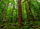 探索第三代试管婴儿技术，坤和助孕OK的优势与前景