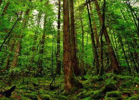 探索第三代试管婴儿技术，坤和助孕OK的优势与前景